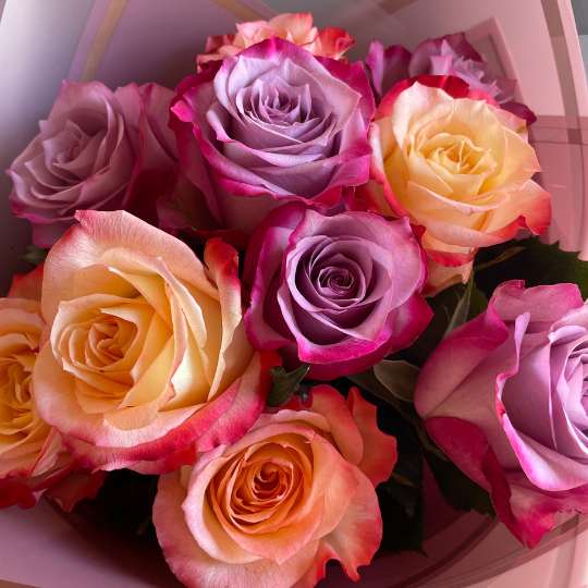 Ramo de Rosas en Talagante